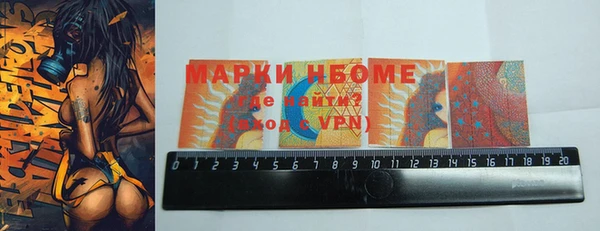 хмурый Арсеньев