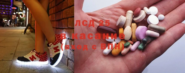 хмурый Арсеньев