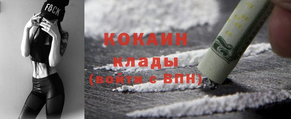 хмурый Арсеньев
