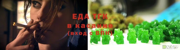 хмурый Арсеньев