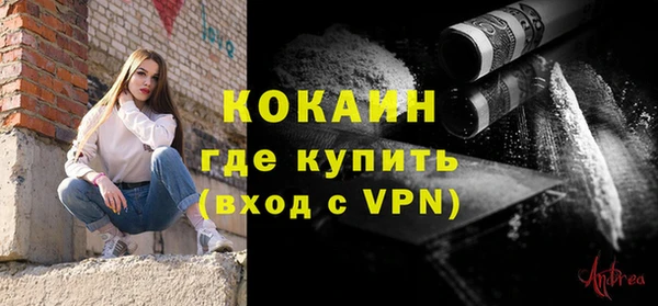 хмурый Арсеньев