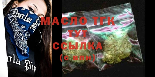 хмурый Арсеньев
