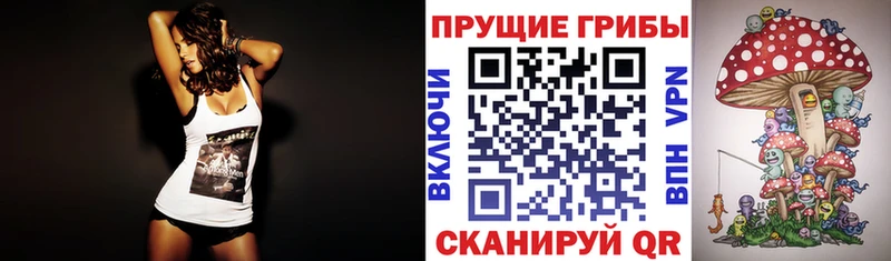 Галлюциногенные грибы Magic Shrooms  даркнет сайт  Карабаш 